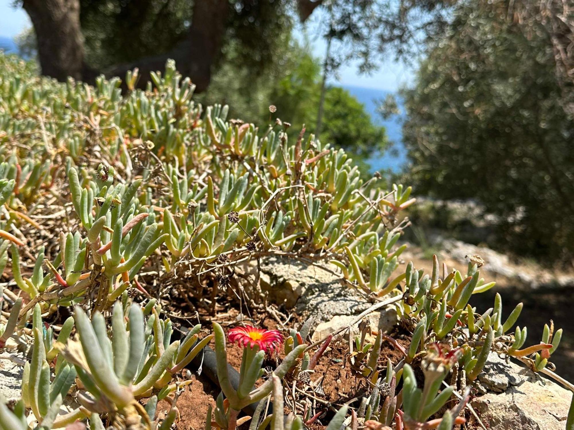 Villetta Dagre Fronte Mare Marittima Extérieur photo